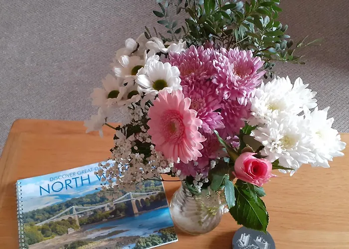 Henblas Holiday Cottages